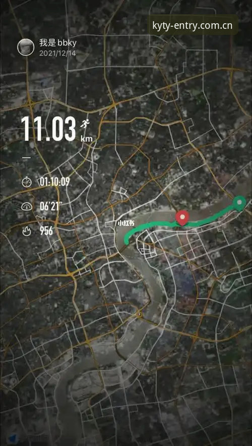 KY体育使用体验全面解析：如何高效完成下载与注册